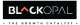 Black Opal Consultants
